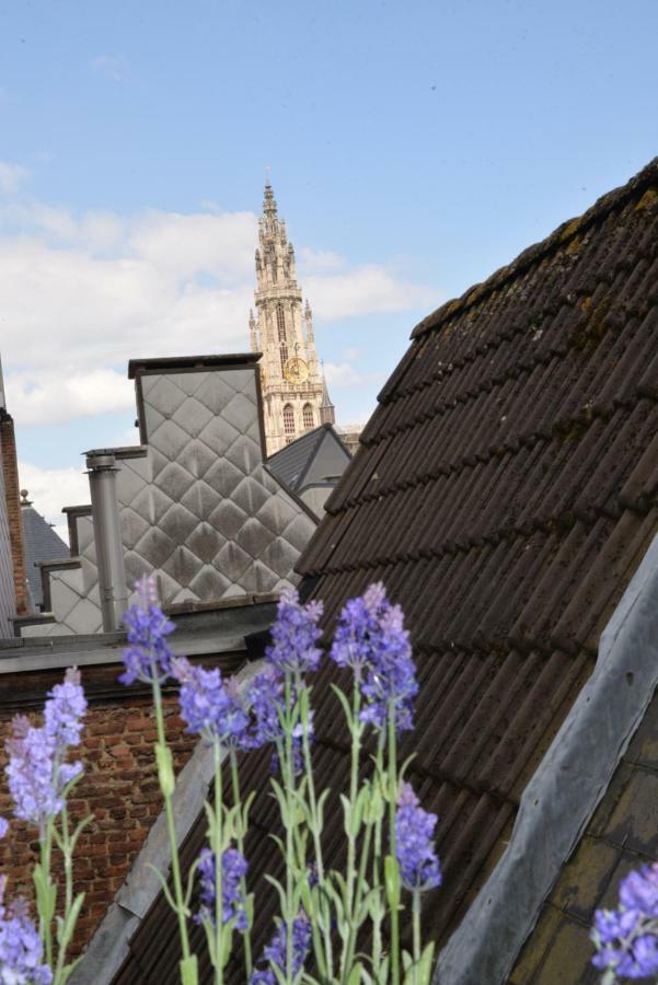 Huize Amoras Antwerpen Exteriör bild